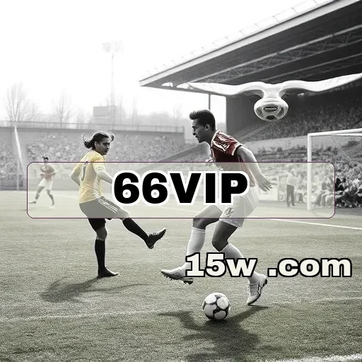 66vip.com Promoções