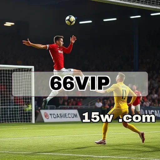 66vip.com Segurança