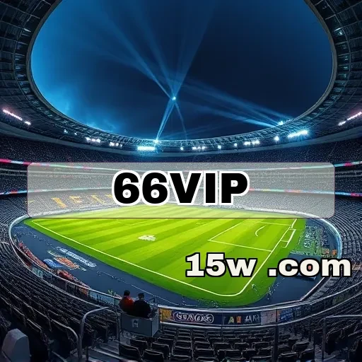 66vip.com VIP